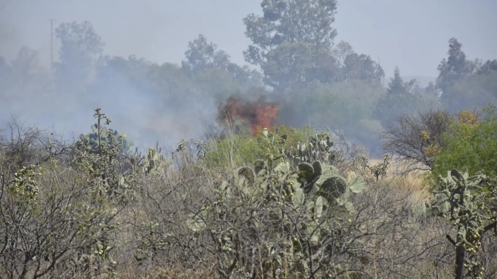 incendios forestales (1)